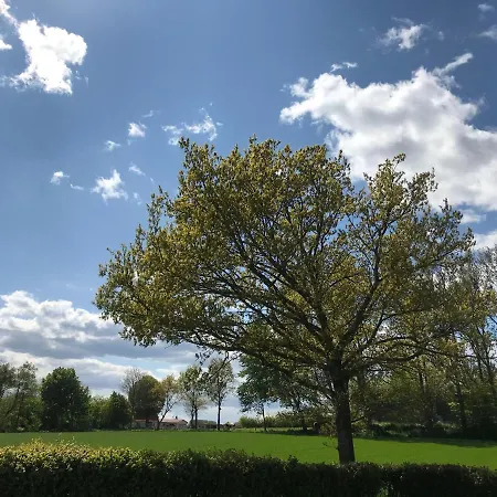 Loimoos Ferienhaus Schnarup-Thumby